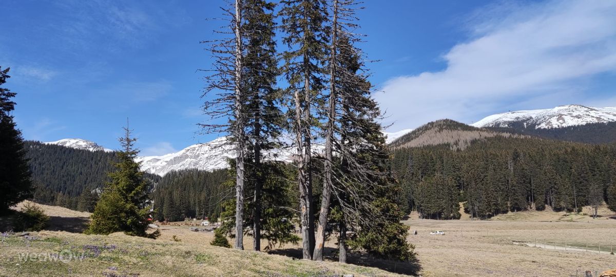 Fotos do tempo em Comuna Padina. Previsões do tempo com lindas fotos de mihaela-voicu