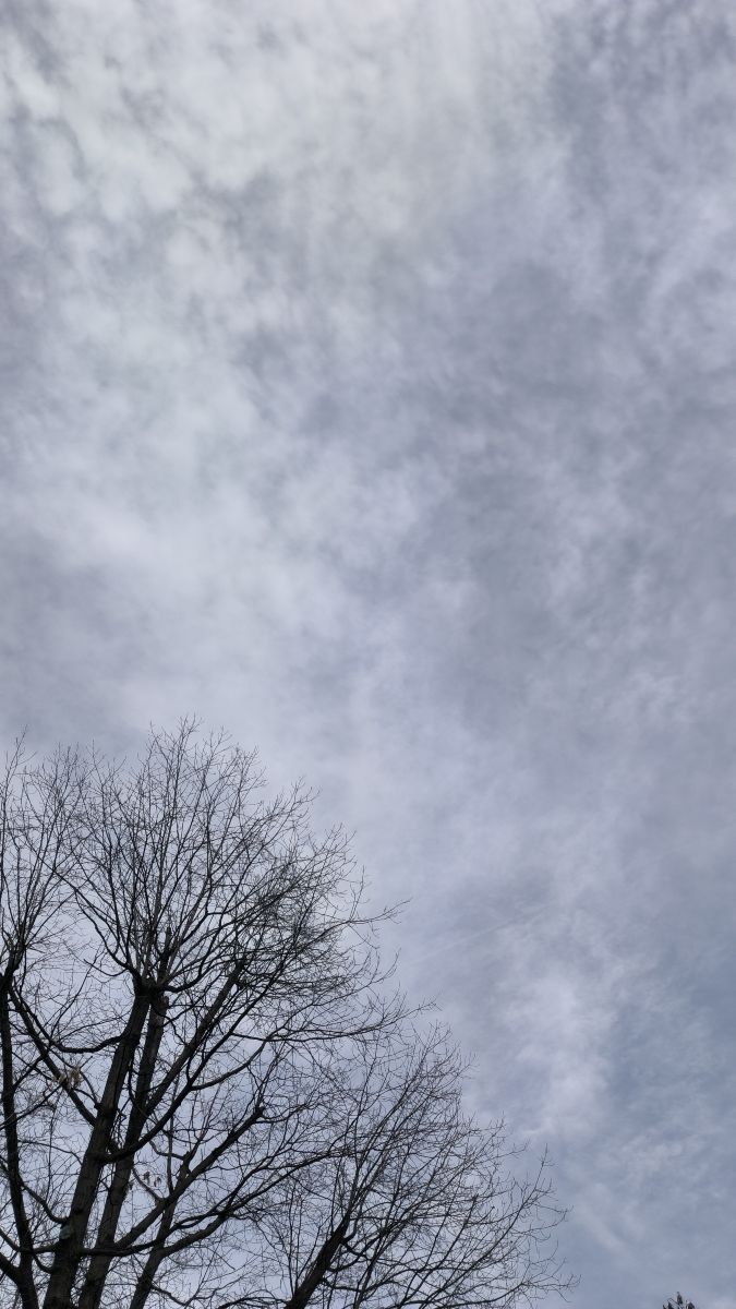 Fotos do tempo em Romênia. Previsões do tempo com lindas fotos de YanBog