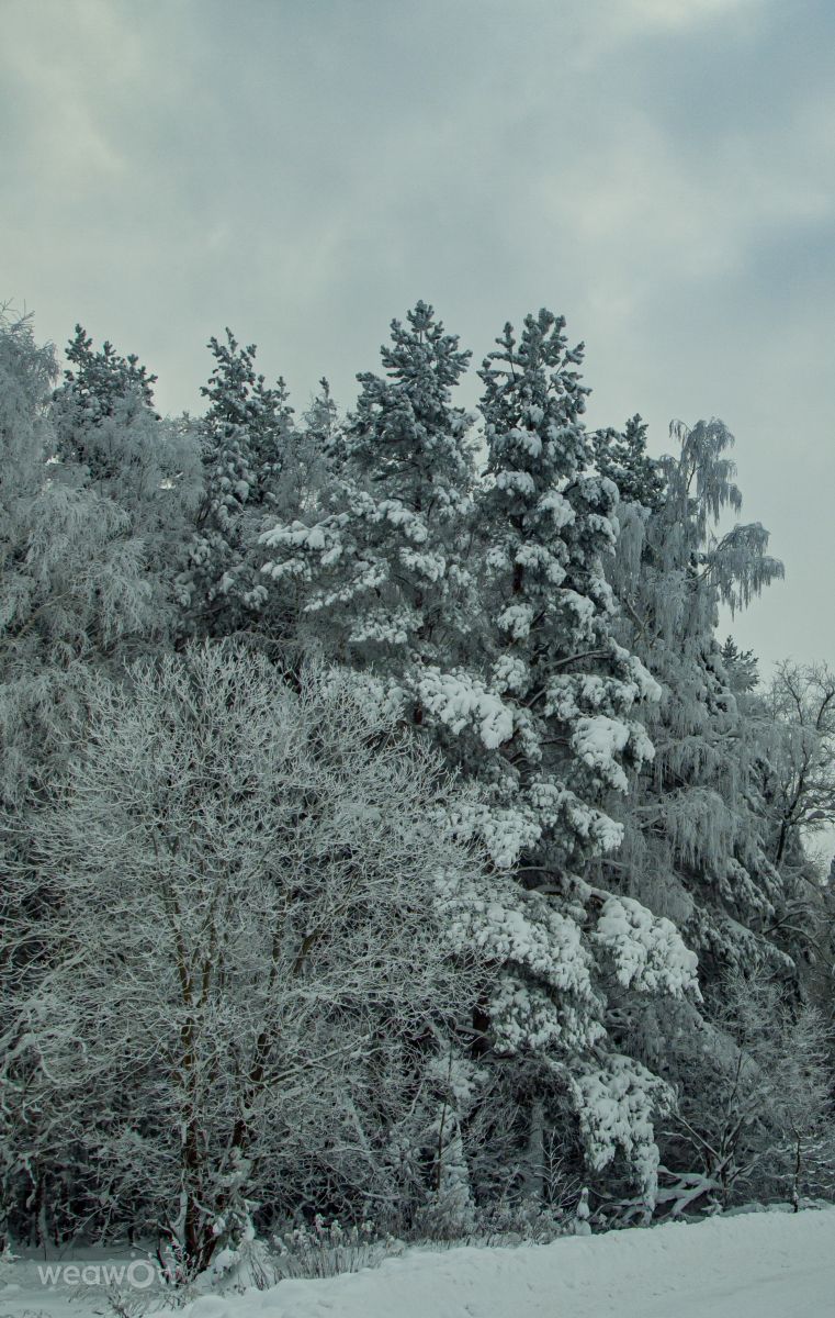 Weather Photos in Mikhnevo. Weather forecasts with beautiful photos by Alex_M_Pakarev