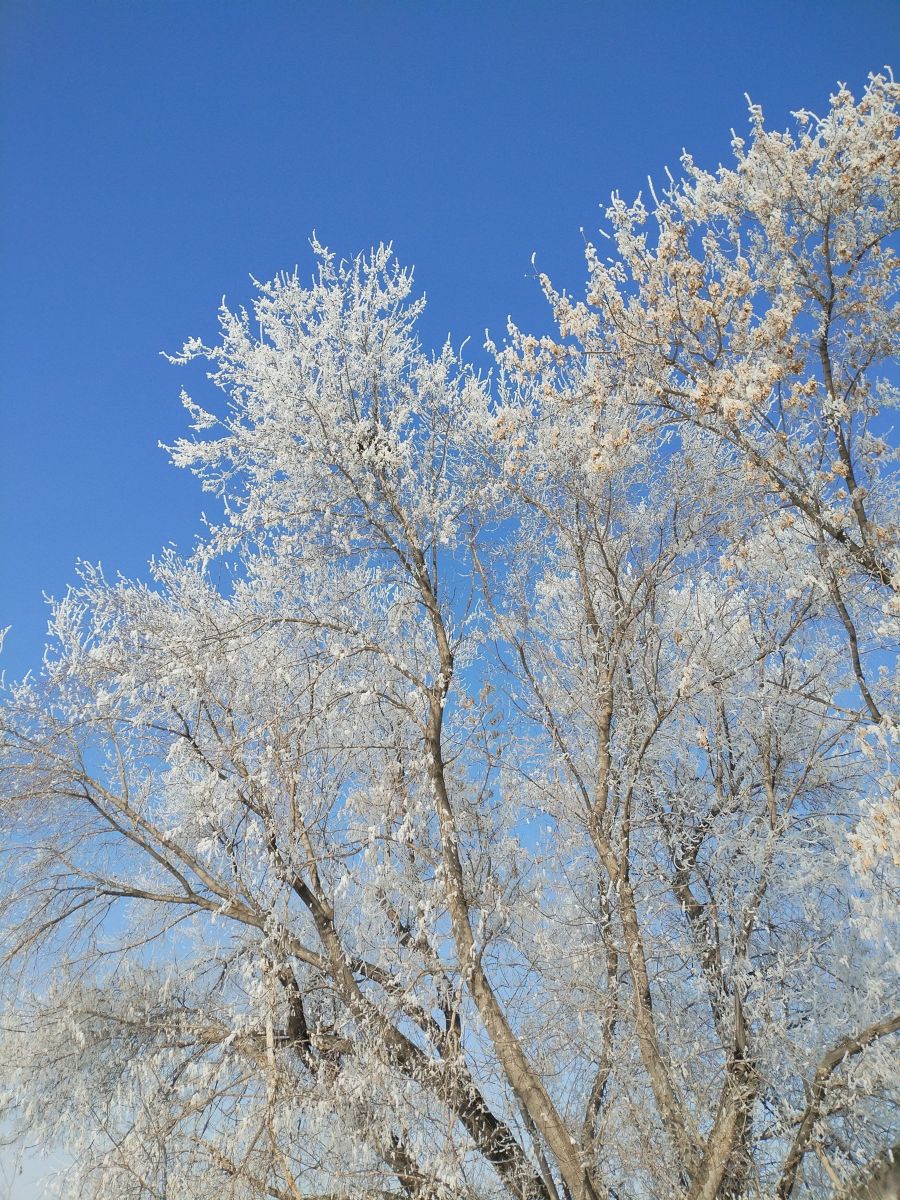 Fotos sobre el clima en Krasnoobsk. Pronósticos del tiempo con hermosas fotos de xxferf