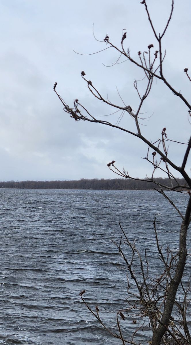 Wetter Photos Ottawa / Rockcliffe Airport. Wettervorhersagen mit schönen Fotos von KevinG