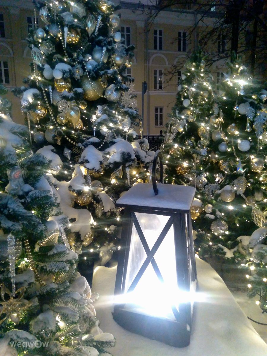 Weather Photos in Moscow. Weather forecasts with beautiful photos by Maria Makarenko