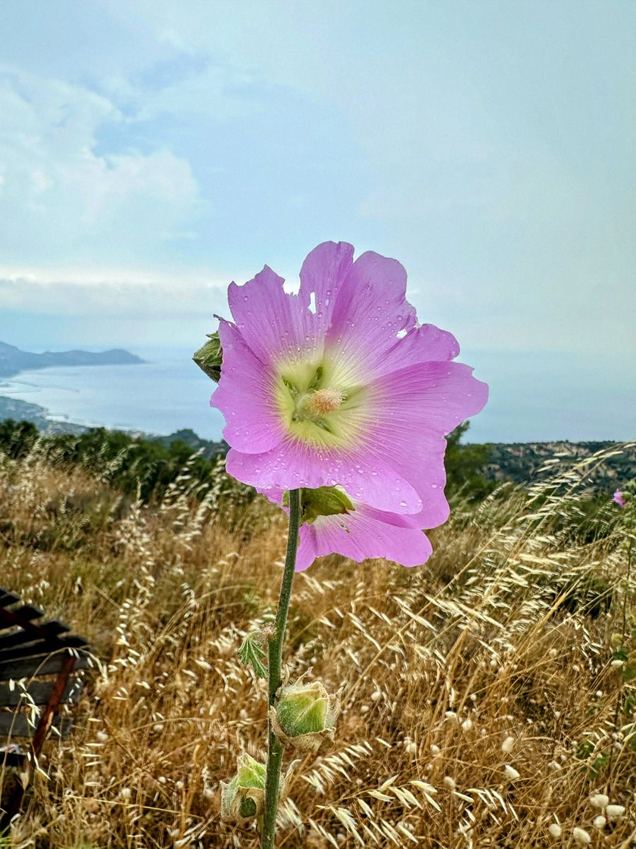 Weather Photos in Greece. Weather forecasts with beautiful photos by Soulbro