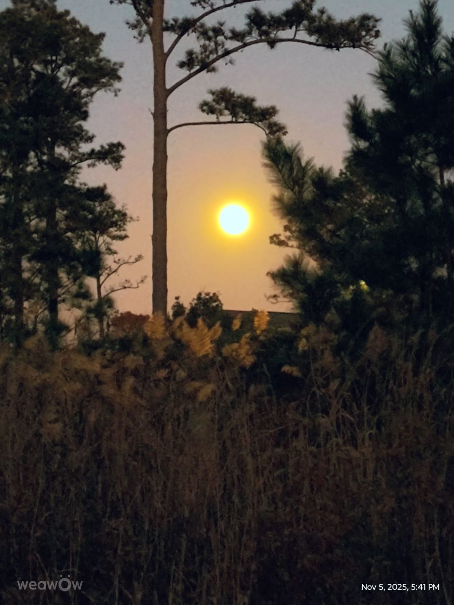 Photos météo à North Carolina. Prévisions météo avec de superbes photos de EZ1