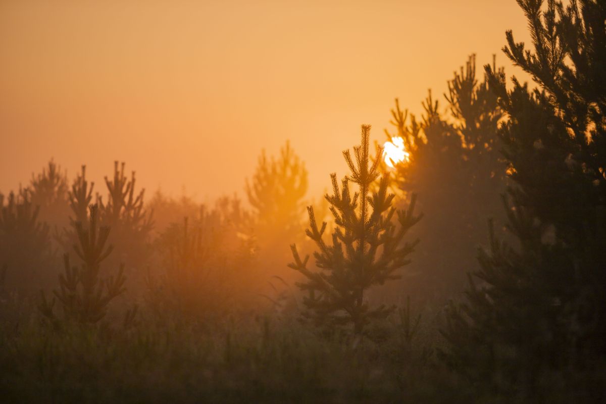 Weather Photos in Bashkortostan Republic. Weather forecasts with beautiful photos by Nymph542