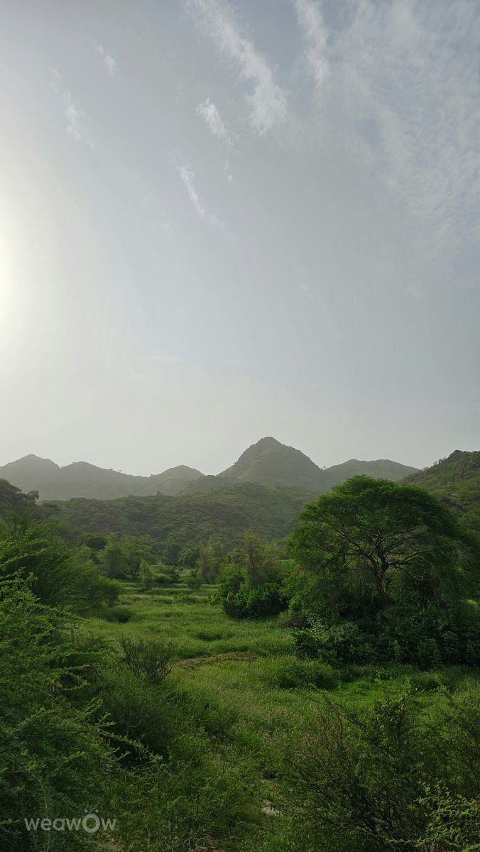 Wetter Photos Saudi-Arabien. Wettervorhersagen mit schönen Fotos von Abdullah88