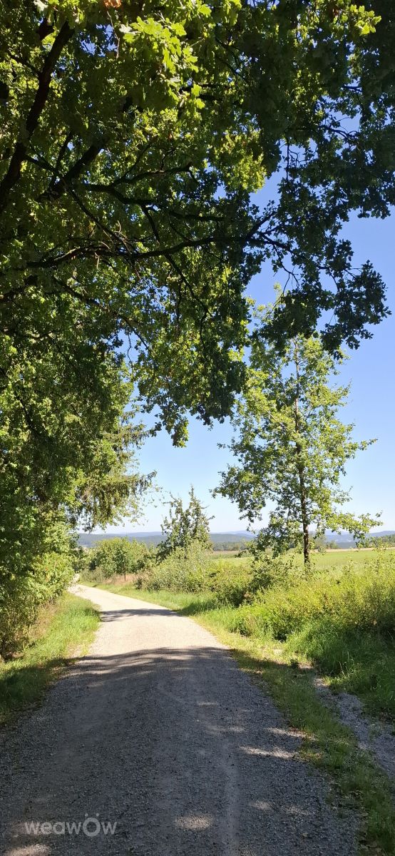 Weather Photos in Germany. Weather forecasts with beautiful photos by Steffi316