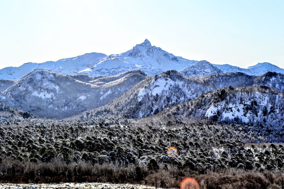 天气预报，带Rodrigo Sandoval精美的照片