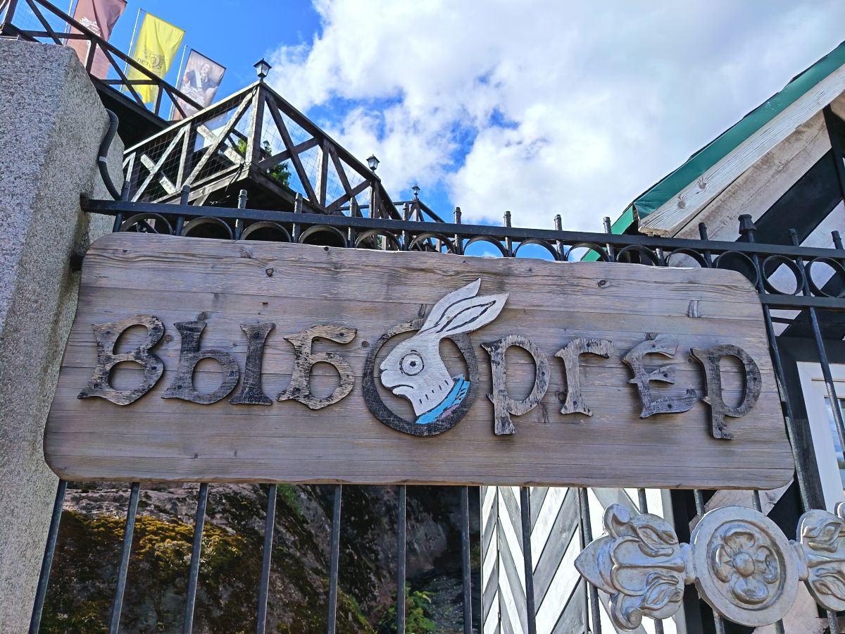 维堡的天气照片. 天气预报，带ЮлЯШа精美的照片