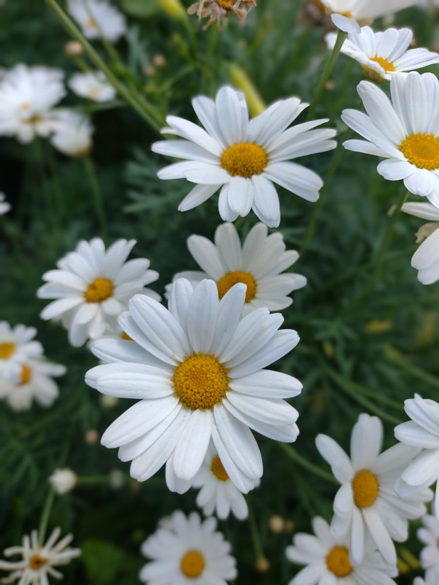 Weather Photos in Grenada. Weather forecasts with beautiful photos by Paracelso