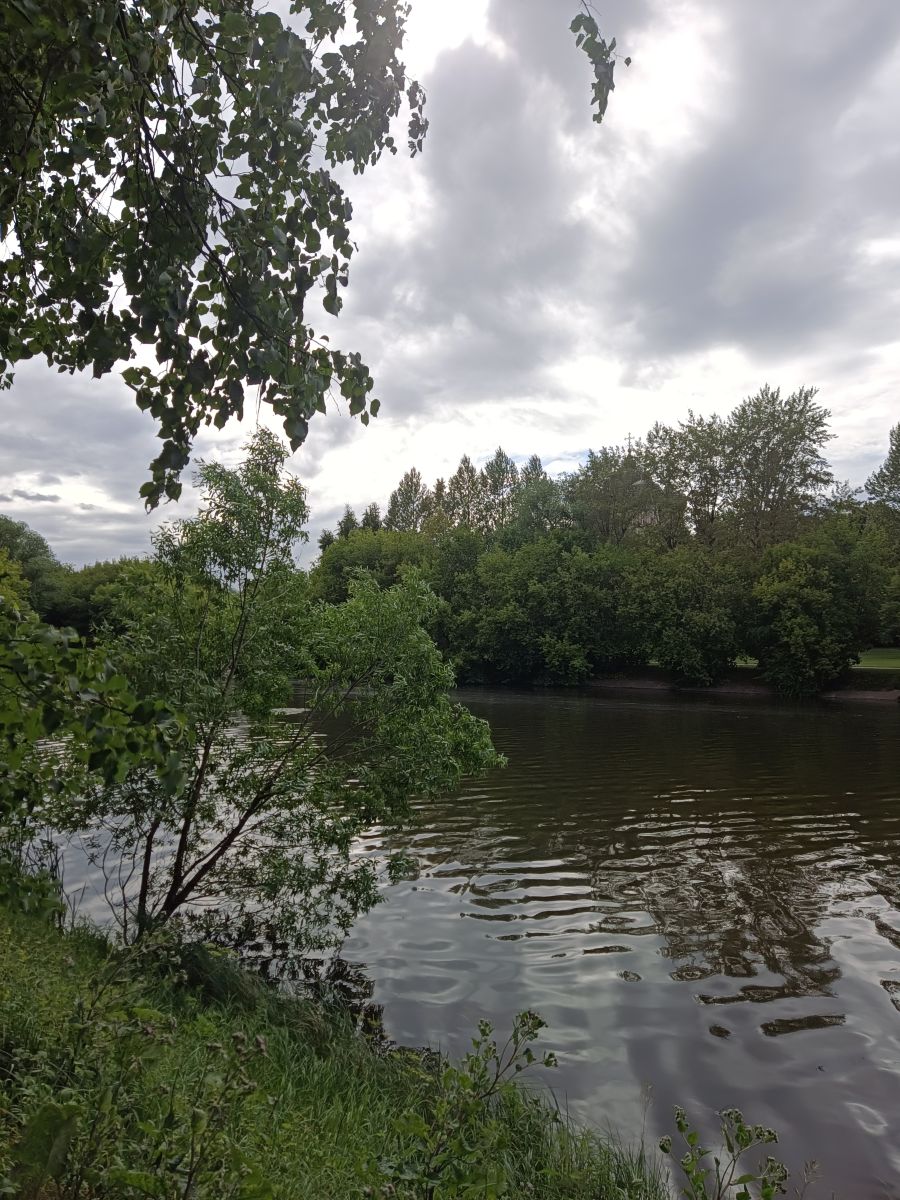 Photographer Amanda_and_Valdemar_Che, Weather Photos in Izmaylovo District - Weawow