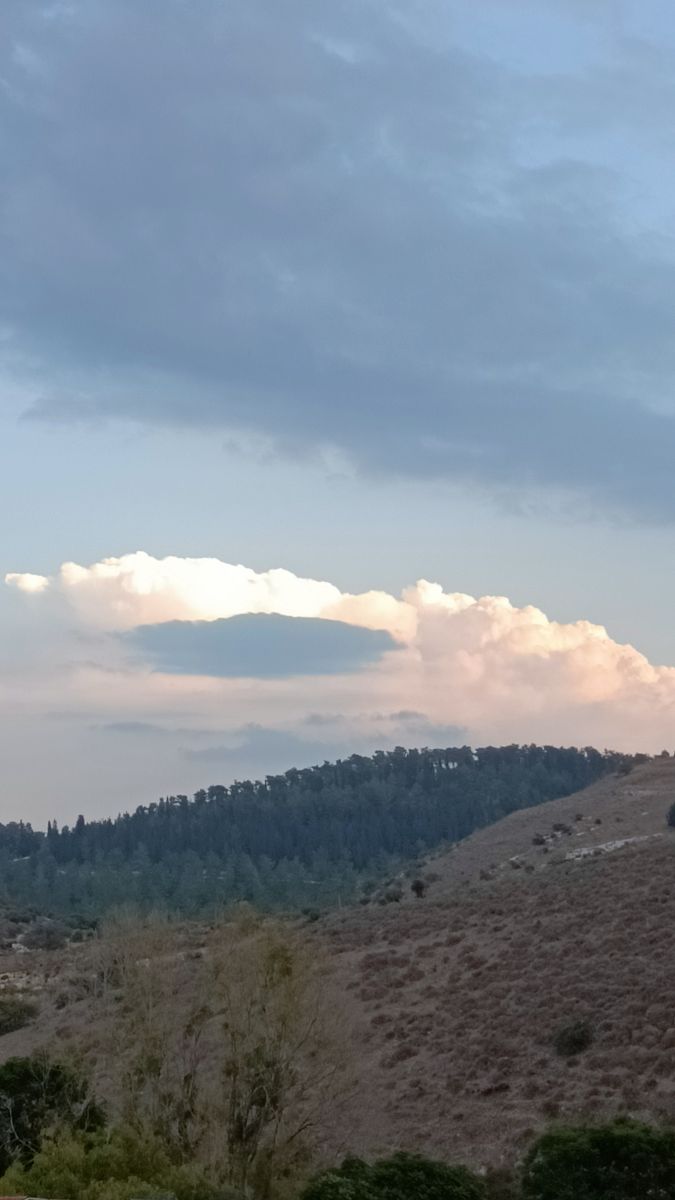 Weather Photos in Northern District. Weather forecasts with beautiful photos by Nikolai Shevchenko