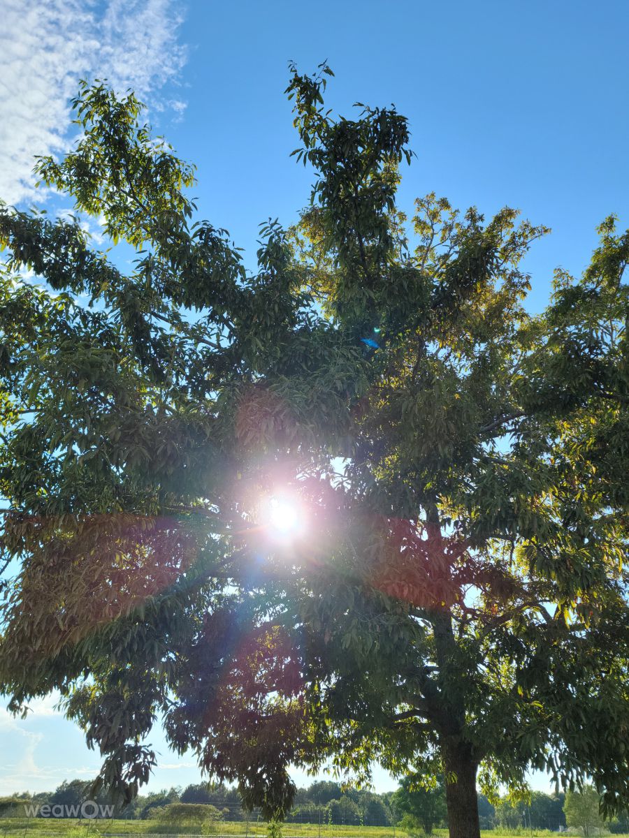 Photos météo à Unadilla. Prévisions météo avec de superbes photos de davidallport