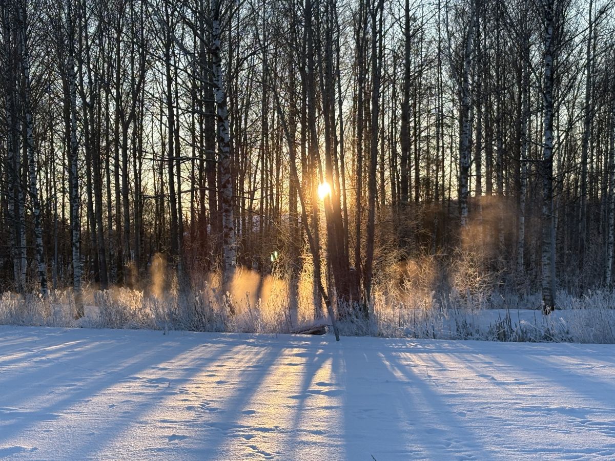 Weather forecasts with beautiful photos by Misori