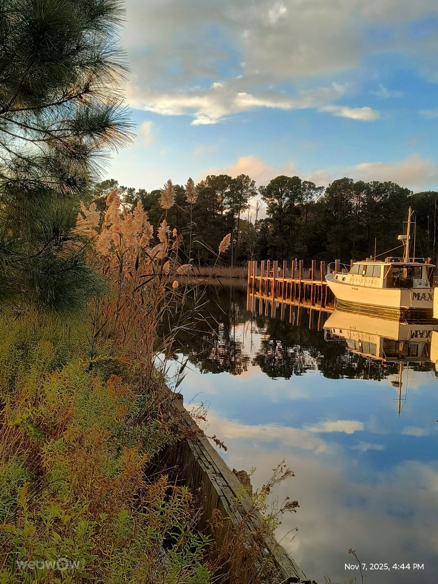 Photos météo à North Carolina. Prévisions météo avec de superbes photos de EZ1