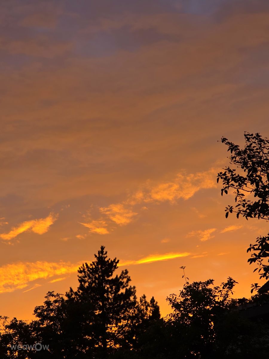 Weather forecasts with beautiful photos by Seni