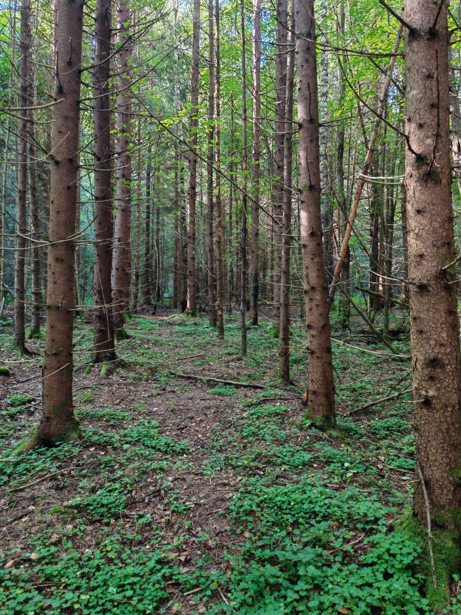 Weather Photos in Moscow Oblast. Weather forecasts with beautiful photos by siverko