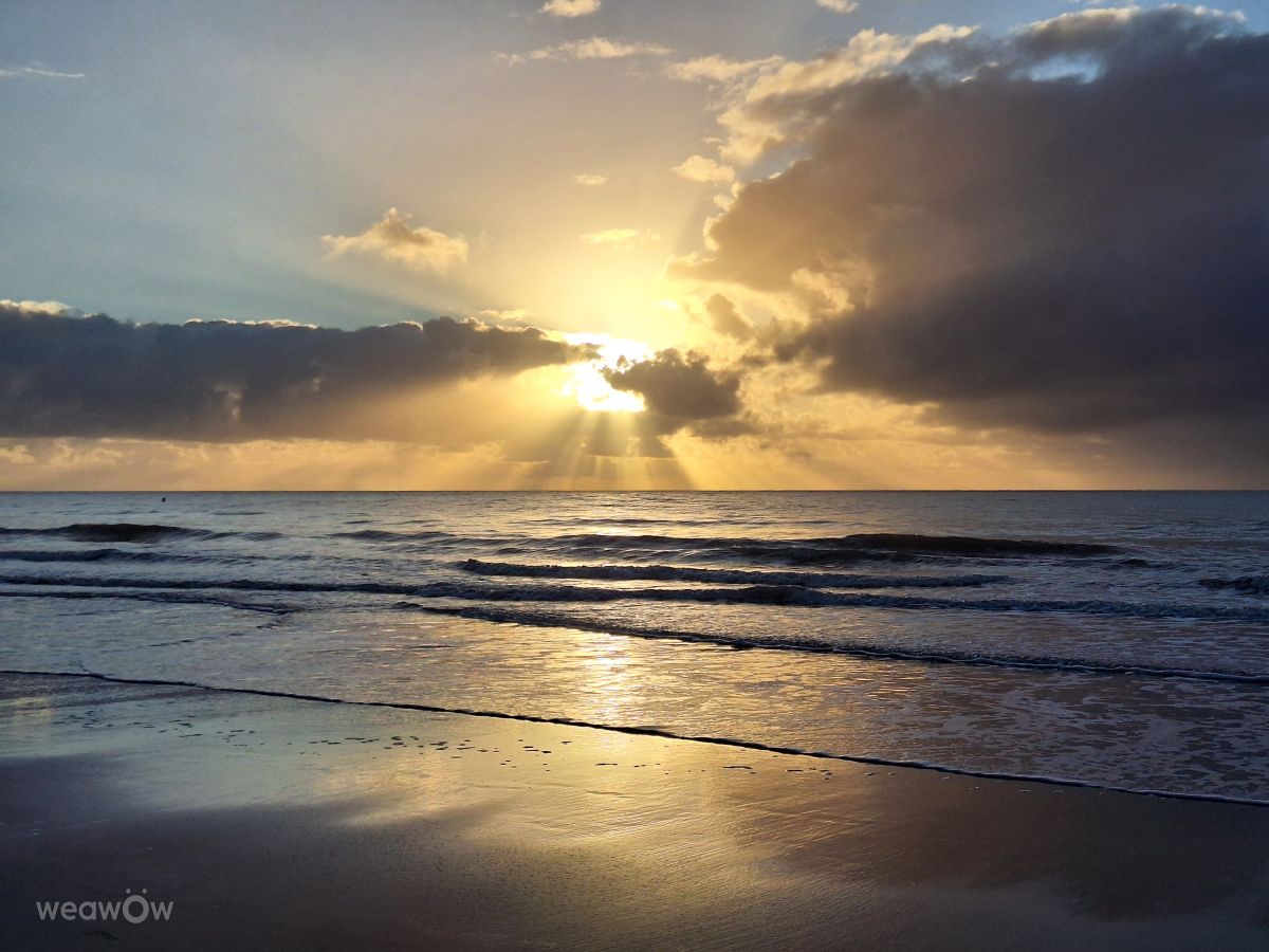 Weather Photos in Port Douglas. Weather forecasts with beautiful photos by bats