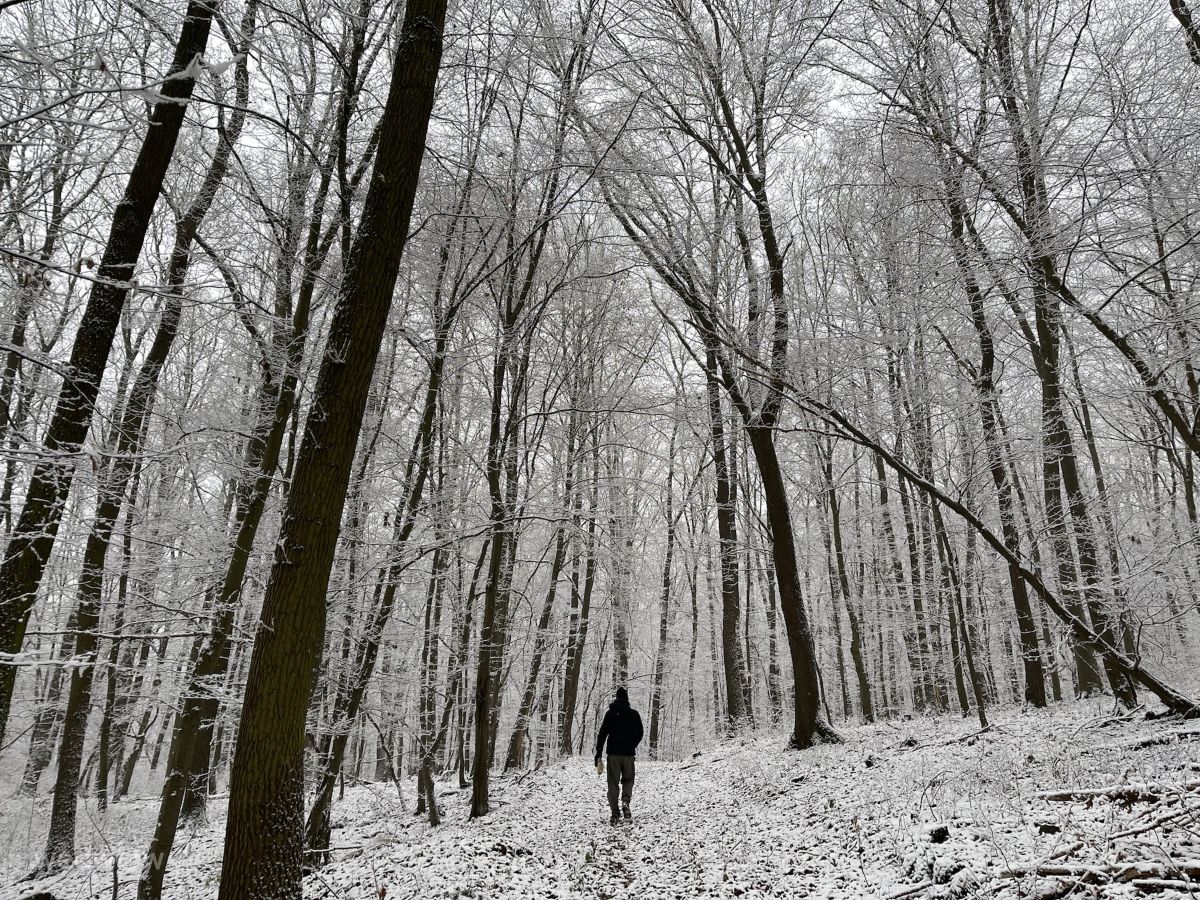 Weather Photos in Harz. Weather forecasts with beautiful photos by Eri