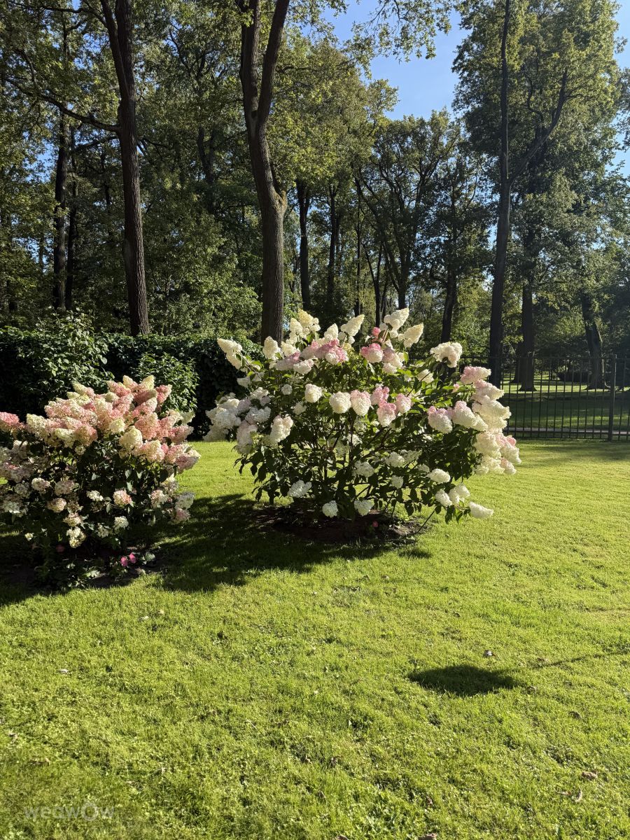 ペテルゴフの天気写真. mas777777の美しい写真による天気予報