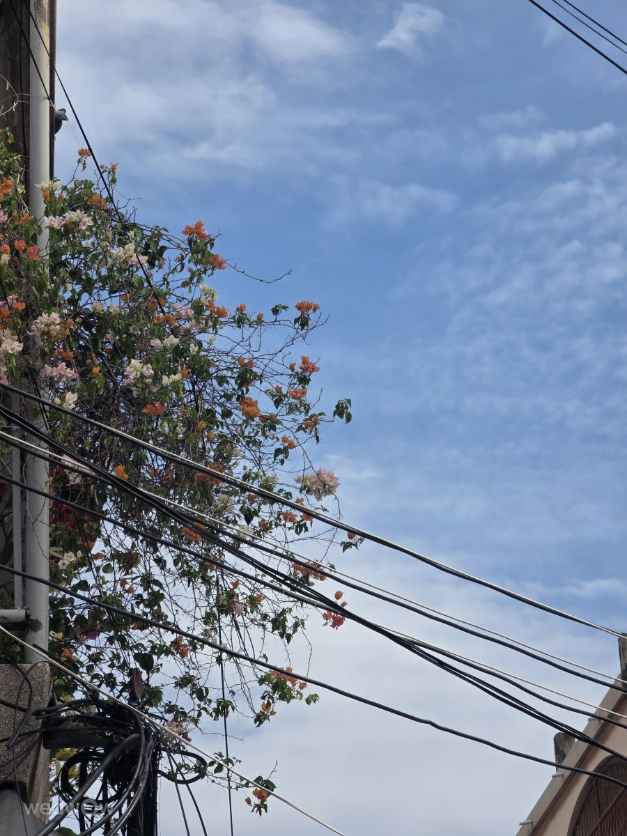 Weather Photos in Thailand. Weather forecasts with beautiful photos by Mabie