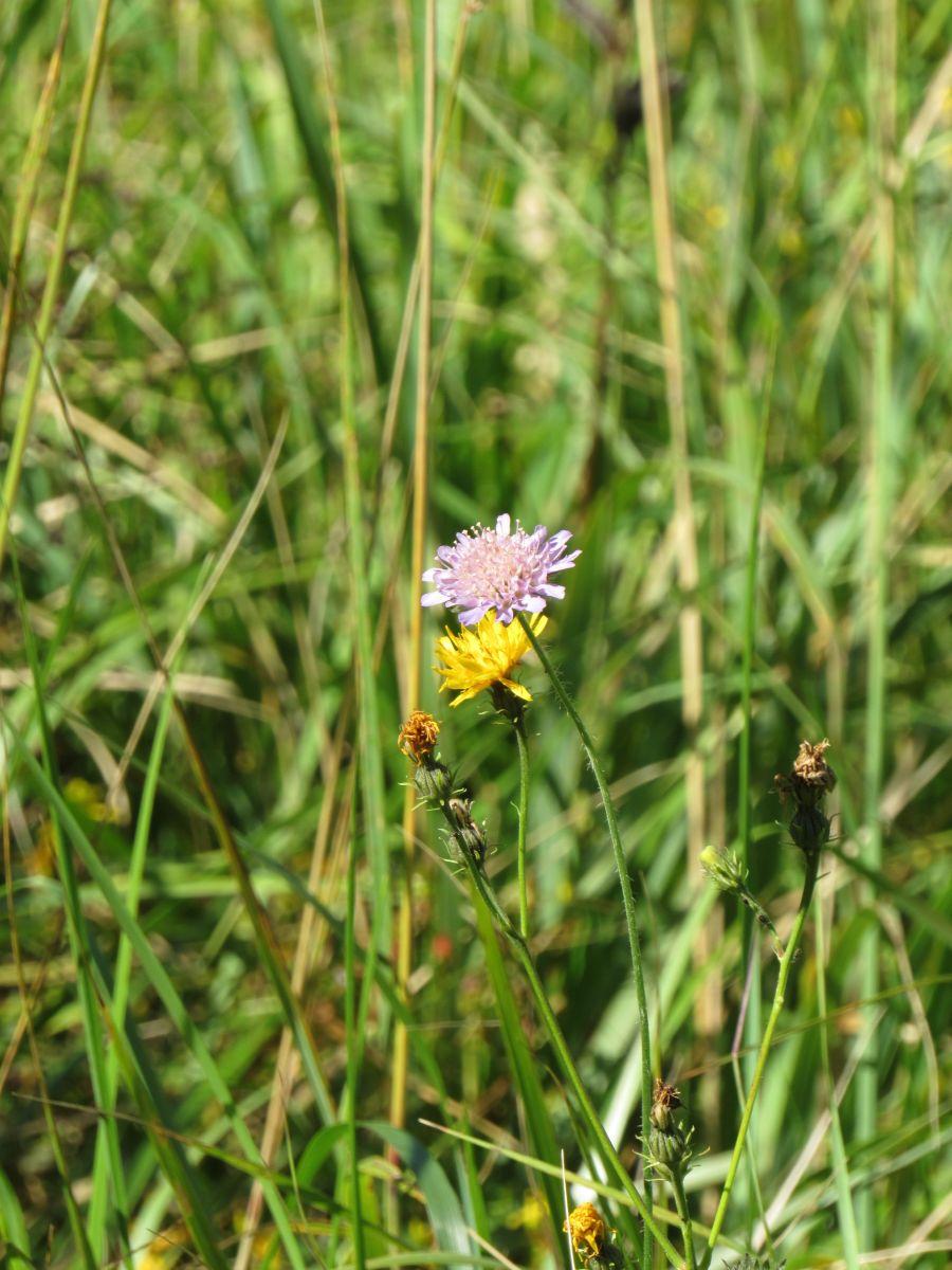 Fotos do tempo em Vitebsk. Previsões do tempo com lindas fotos de ЩипинЕвгений