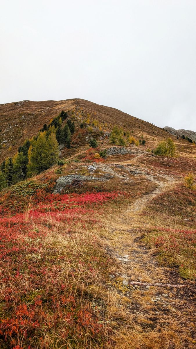 Weather Photos in Austria. Weather forecasts with beautiful photos by Asarii