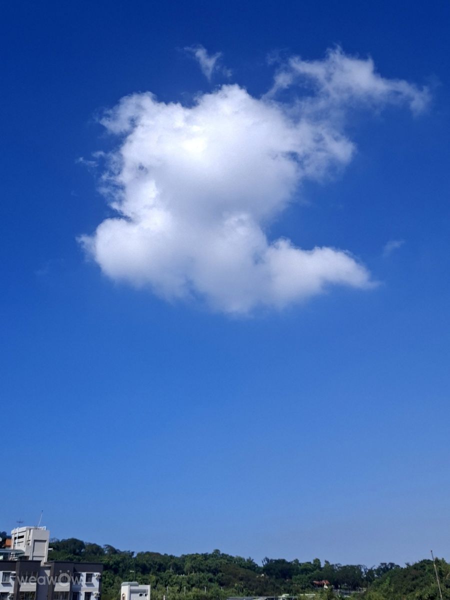 Фотографии Погоды в Kaohsiung City. Прогнозы погоды с чудесными фотографиями, сделанными Wen-ya Huang