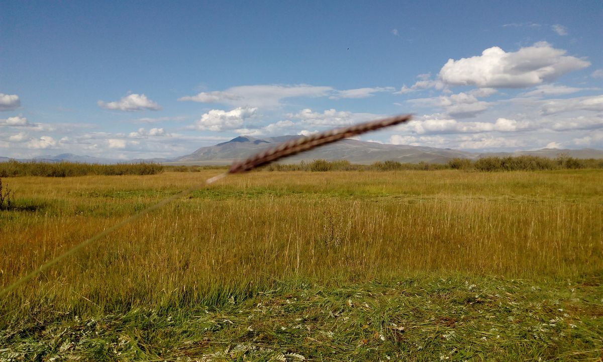 Weather Photos in Kosh-Agach. Weather forecasts with beautiful photos by Pavel  Gubkin