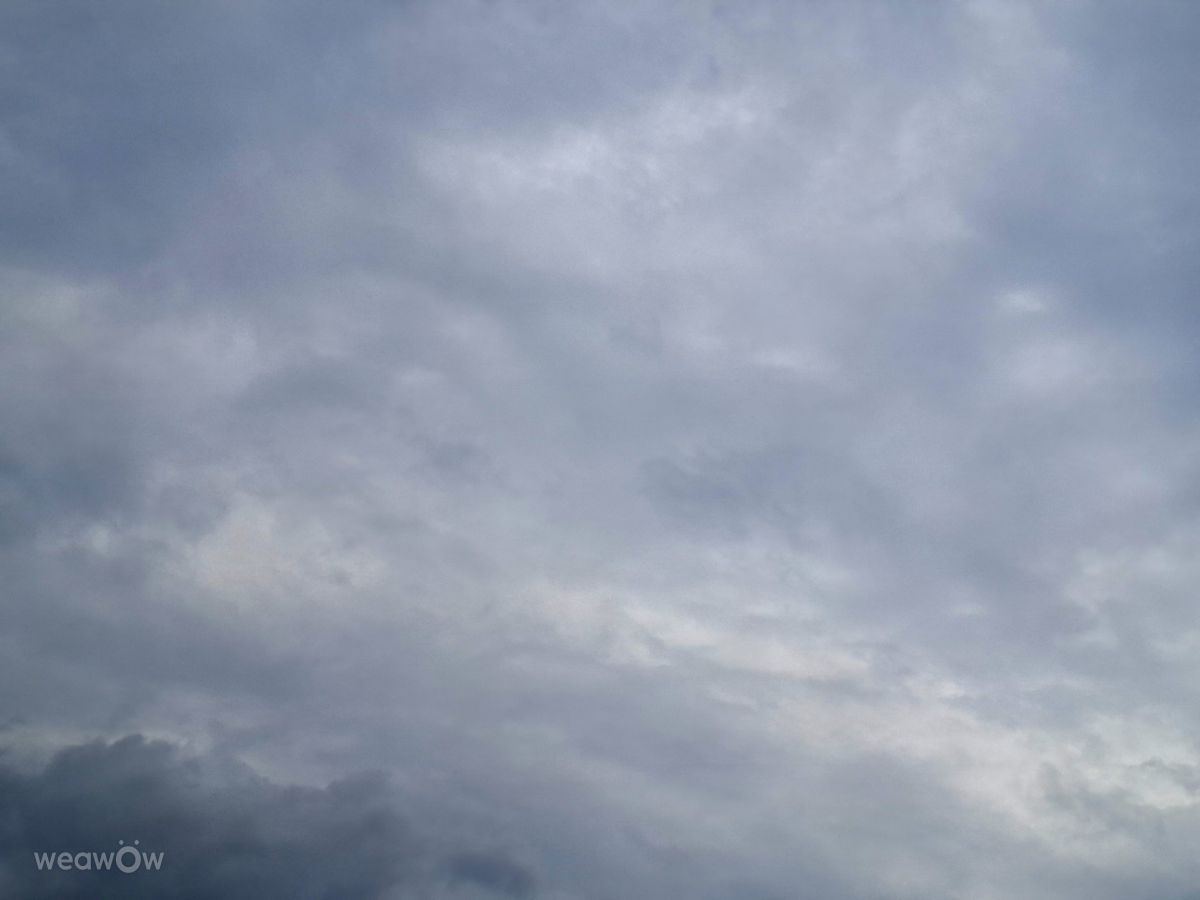 Photographer Wen-ya Huang, Weather Photos in Kaohsiung City - Weawow