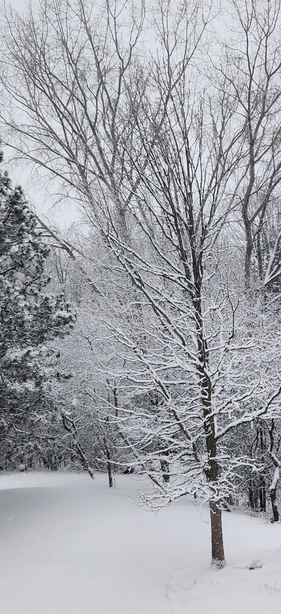 Wetter Photos Kanata Avenue. Wettervorhersagen mit schönen Fotos von KevinG