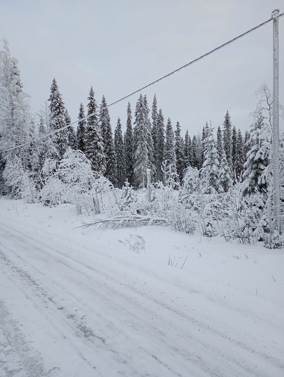 Fotos do tempo em Finlândia. Previsões do tempo com lindas fotos de Juki