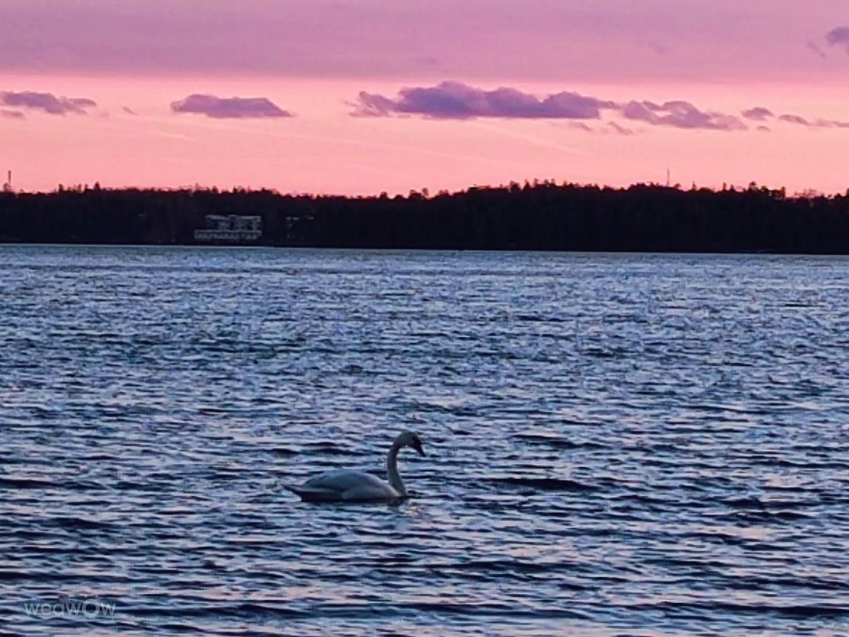 Photograph Valotar, Wetter Photos Helsinki - Weawow