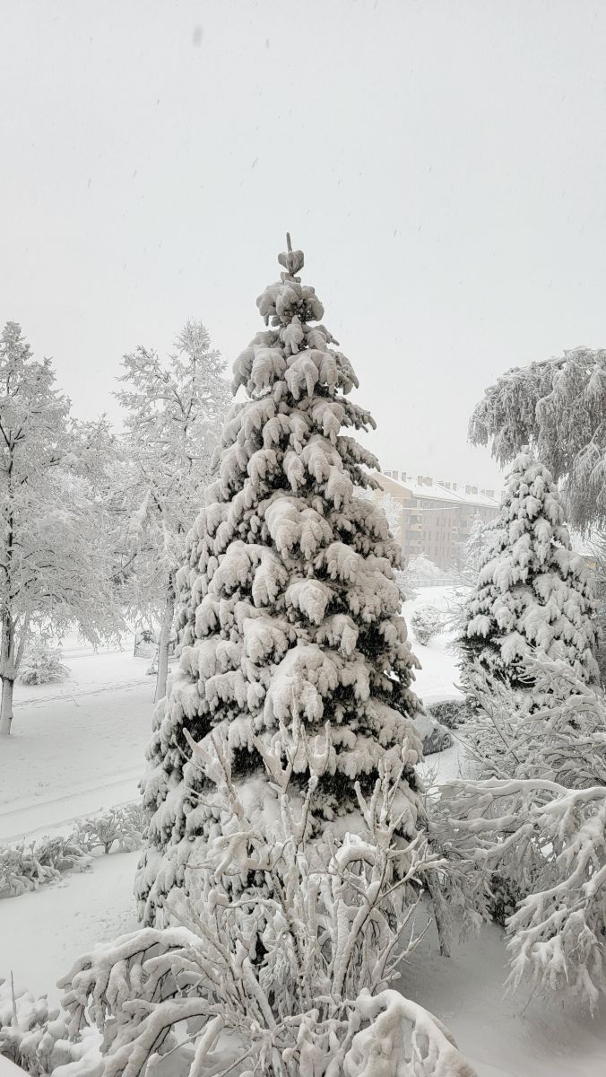 Weather Photos in Bosnia and Herzegovina. Weather forecasts with beautiful photos by Nody