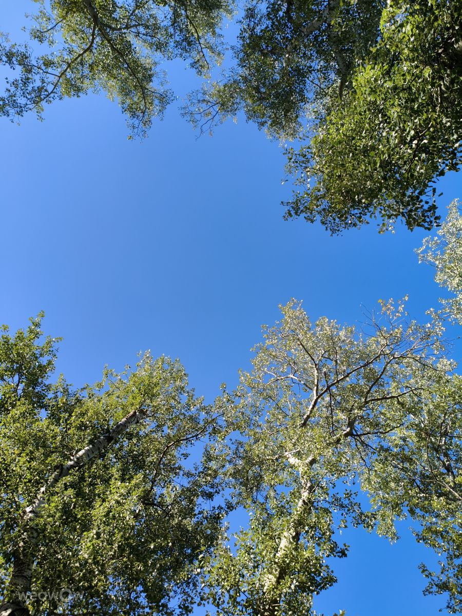 Fotos sobre el clima en Municipiul Chisinau. Pronósticos del tiempo con hermosas fotos de InnaMoon