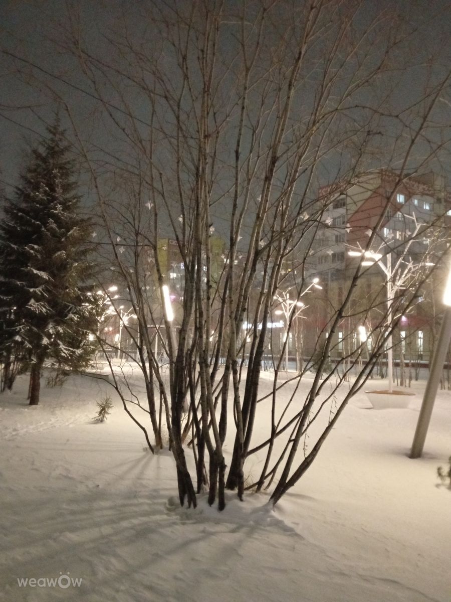 Fotos do tempo em Yamalo-Nenets. Previsões do tempo com lindas fotos de Matinhalik