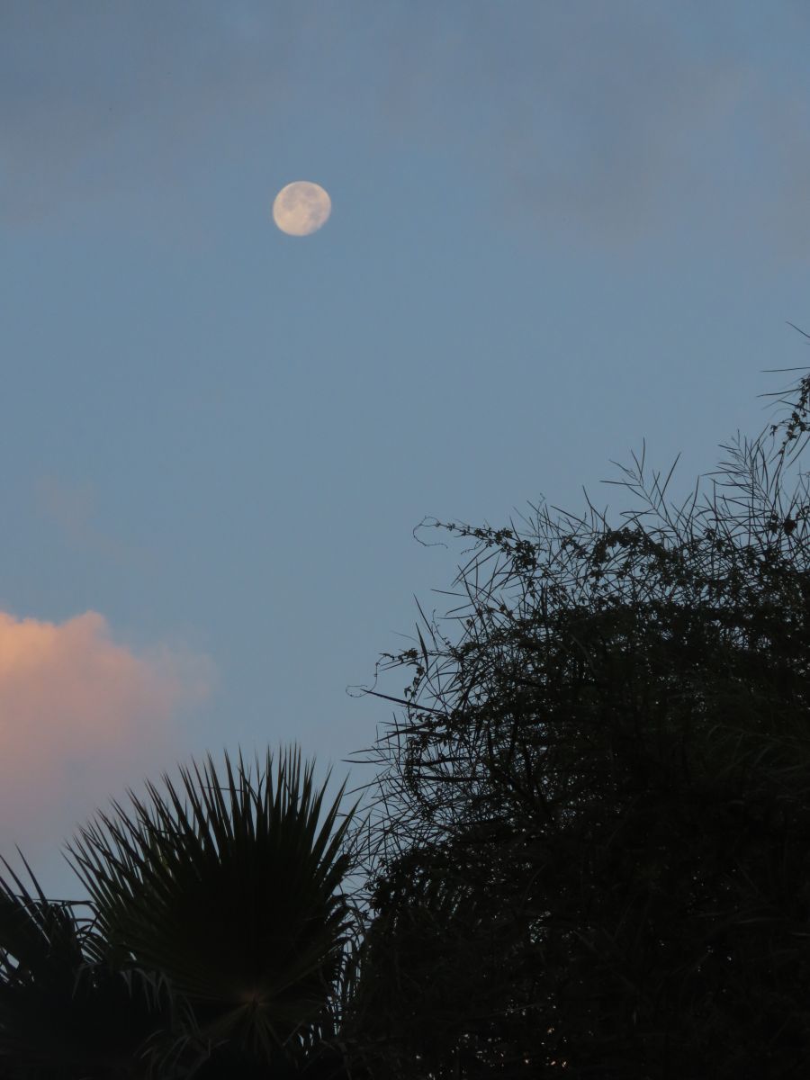 Hình ảnh Thời tiết ở Northern District. Dự báo thời tiết với những bức ảnh đẹp của Sviatoslav