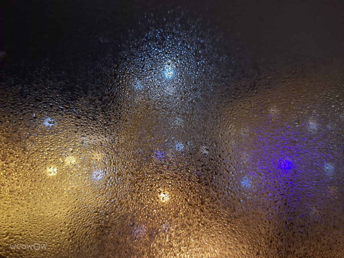 Photographer Iryna, Weather Photos in Kharkiv - Weawow