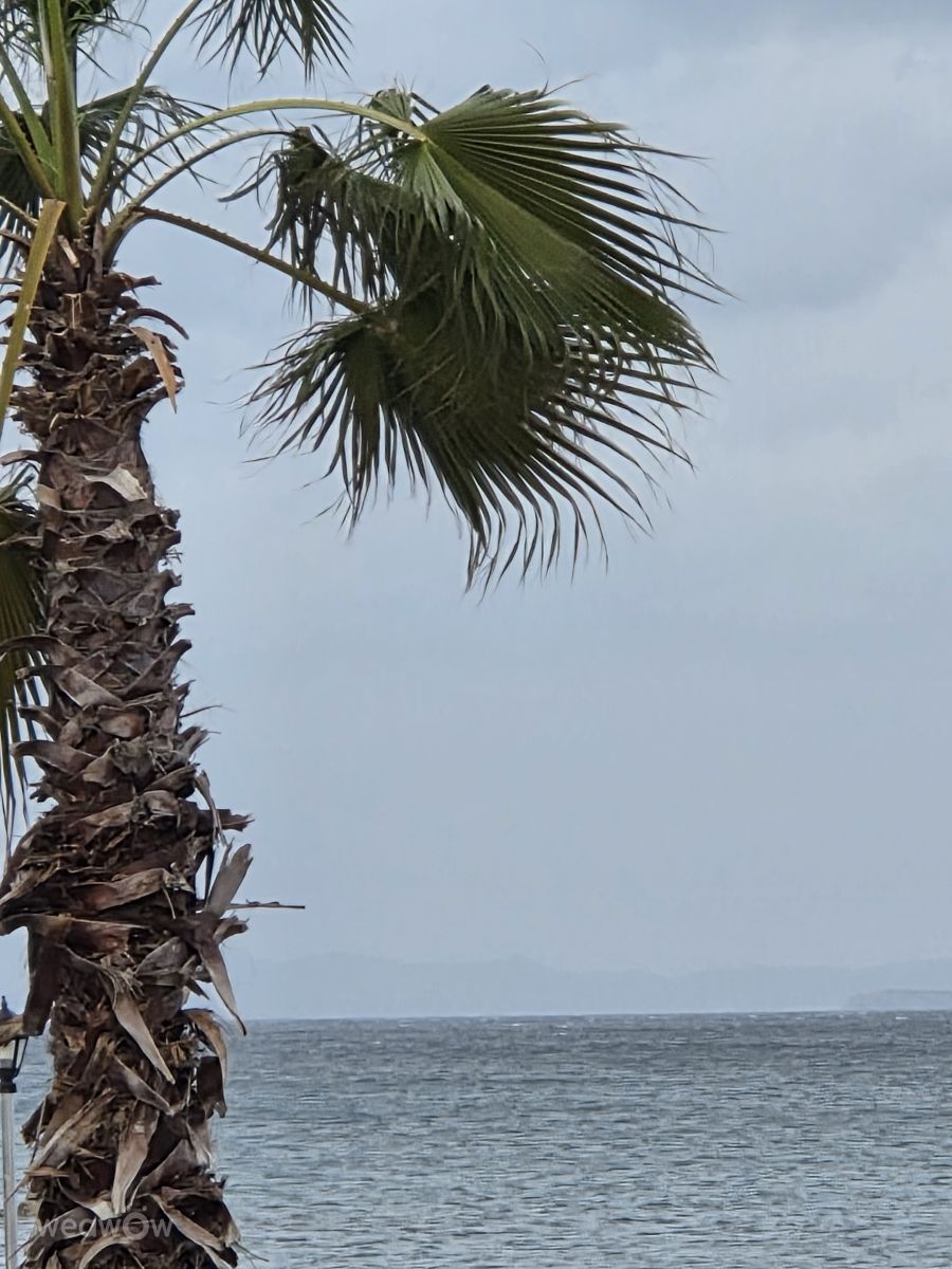 İzmir Provinceの天気写真. LivSの美しい写真による天気予報