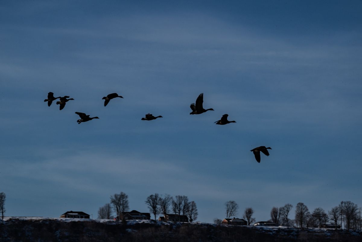 Фотограф krantzjh, Фотографии Погоды в Madison - Weawow