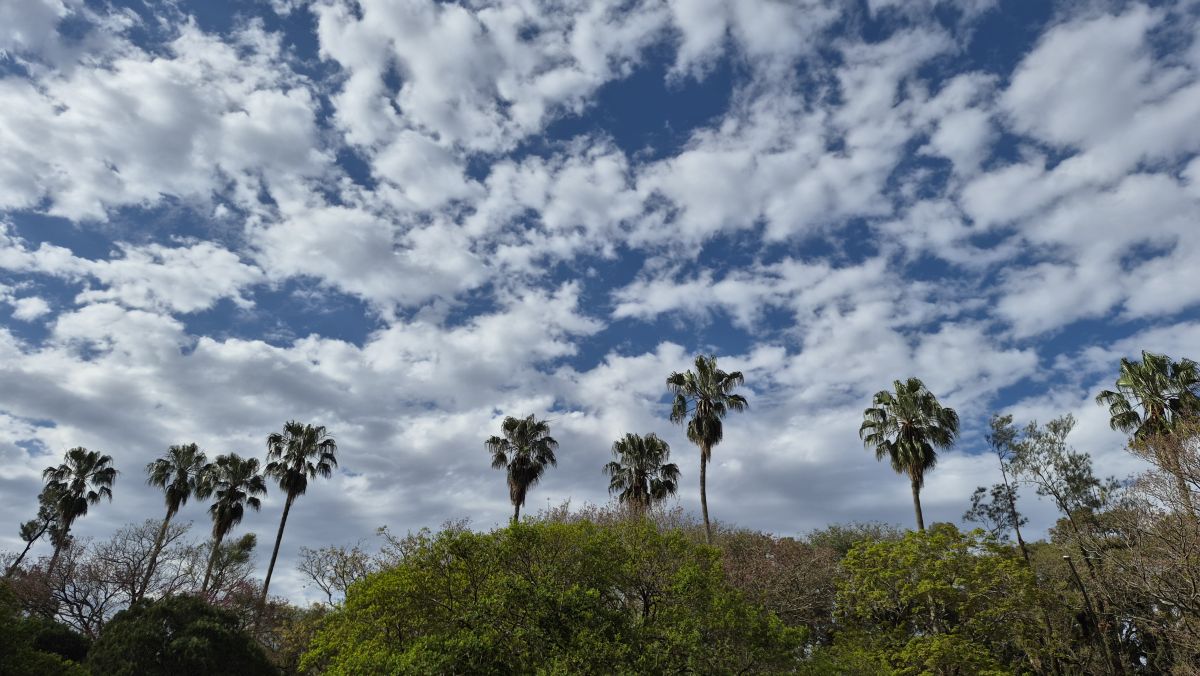 Fotos sobre el clima en Río Grande del Sur. Pronósticos del tiempo con hermosas fotos de Clara_Bina