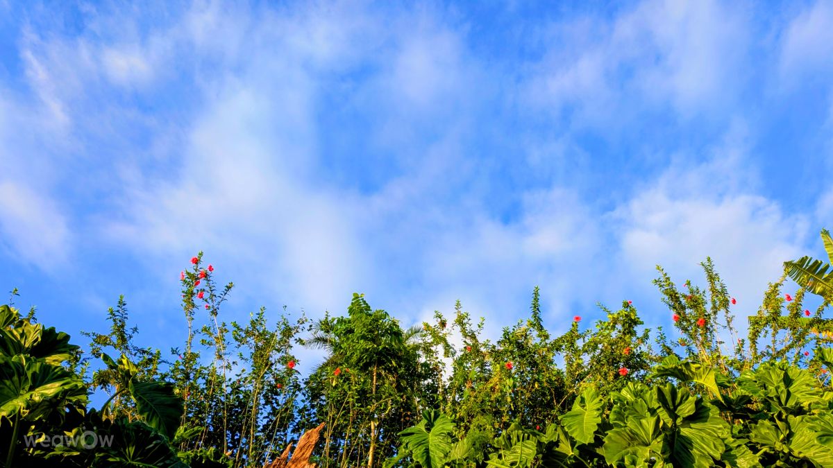 Weather Photos in French Polynesia. Weather forecasts with beautiful photos by Teuira