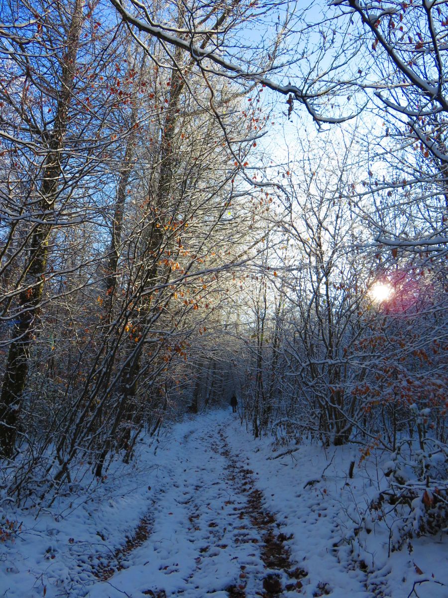 Weather Photos in Le Mayet-de-Montagne. Weather forecasts with beautiful photos by MariePhotos