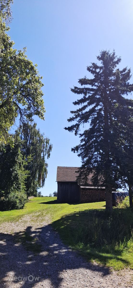 Weather Photos in Germany. Weather forecasts with beautiful photos by Steffi316