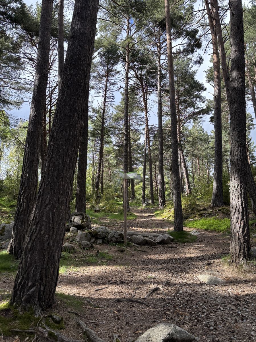 Weather Photos in Andorra. Weather forecasts with beautiful photos by Brutus