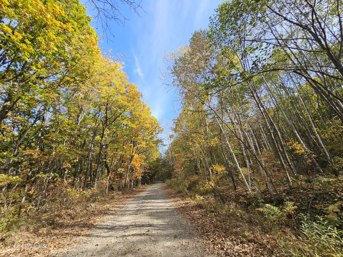 摄影师 ImPe，Arsen'yev的天气照片 - Weawow