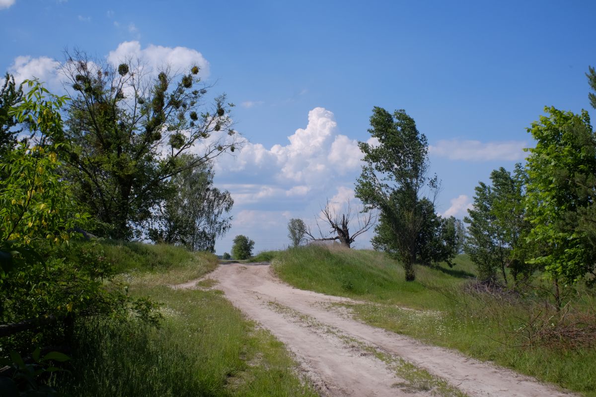 Weather Photos in Kyiv. Weather forecasts with beautiful photos by Saho76