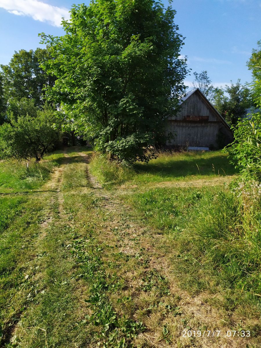 Fotos do tempo em Grybów. Previsões do tempo com lindas fotos de Sybilla