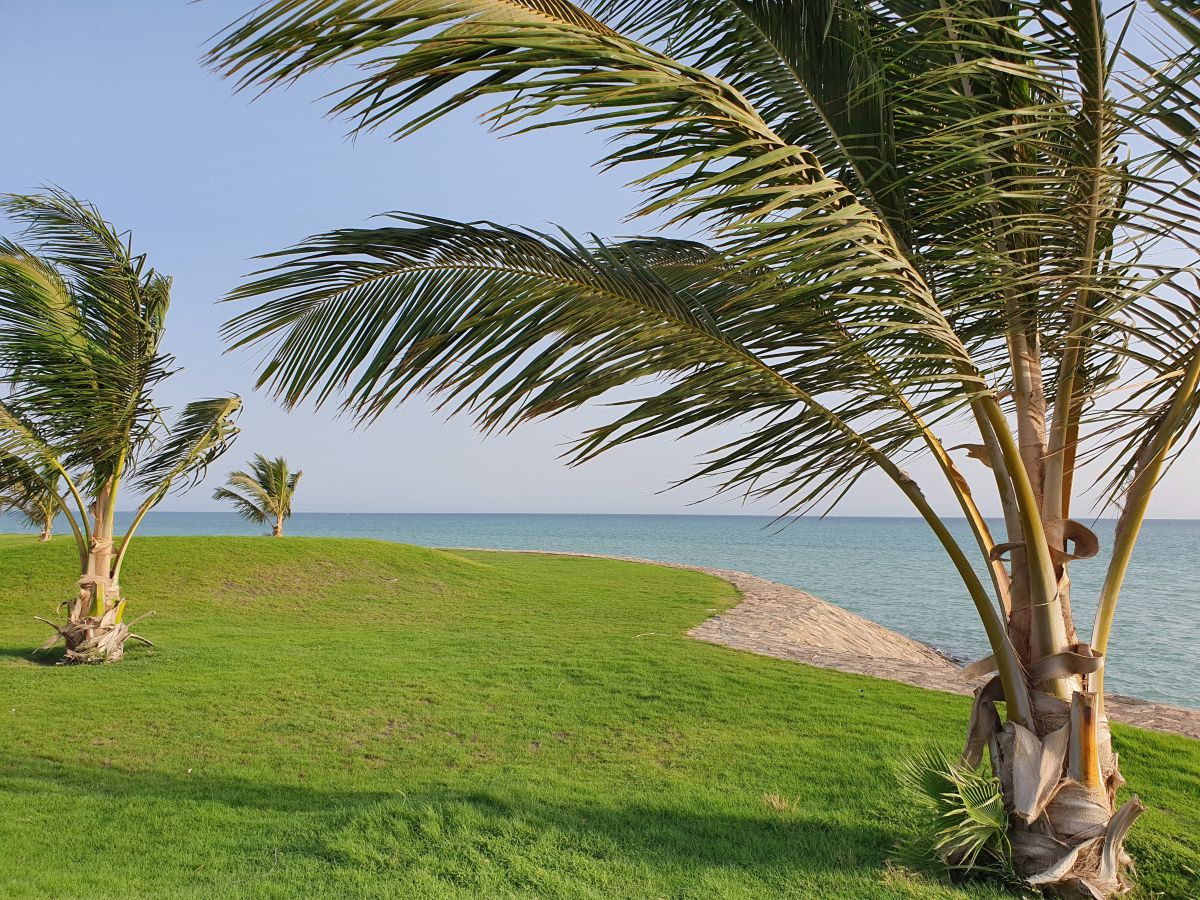 Hình ảnh Thời tiết ở Ả-rập Xê-út  (Saudi Arabia). Dự báo thời tiết với những bức ảnh đẹp của Ali Usman