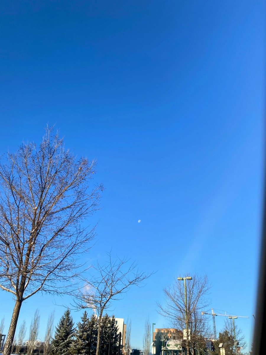 Фотографии Погоды в le Plateau. Прогнозы погоды с чудесными фотографиями, сделанными Lulu5523